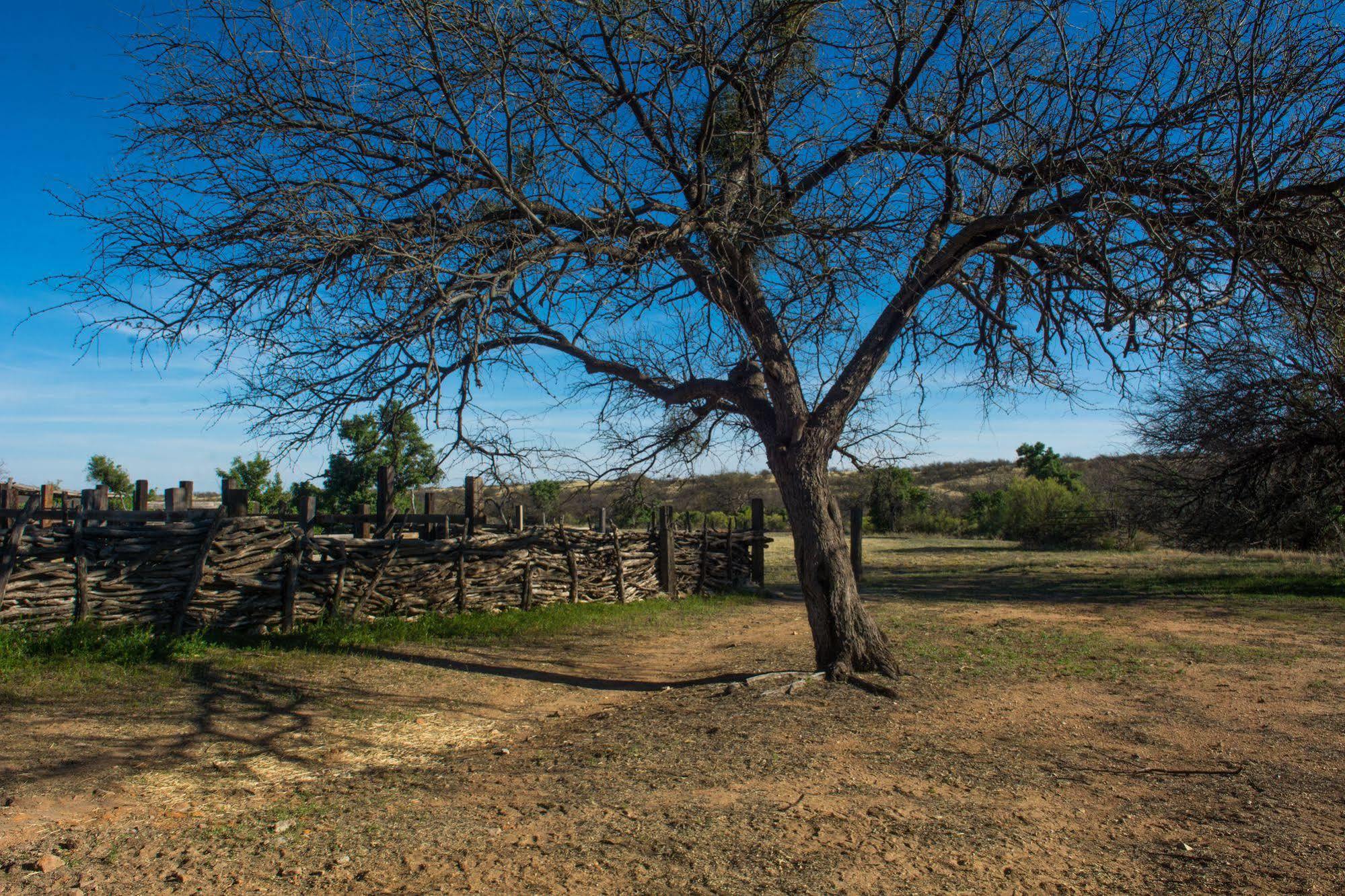 Hotel Rancho De La Osa Guest Ranch Sasabe Exterior foto